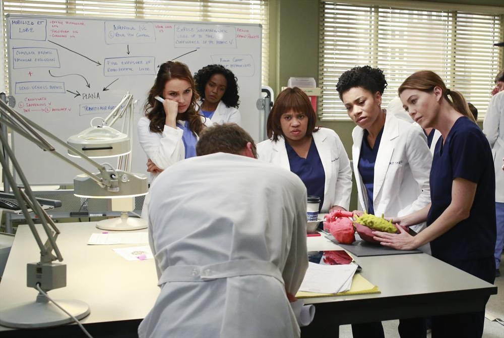 Grey’s Anatomy Review The Bed’s Too Big Without You (Season 11 Episode 10)