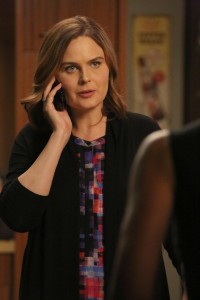  Bones: 6 Things You Need to Know About the Season 11 Premiere (Plus Photos!) 