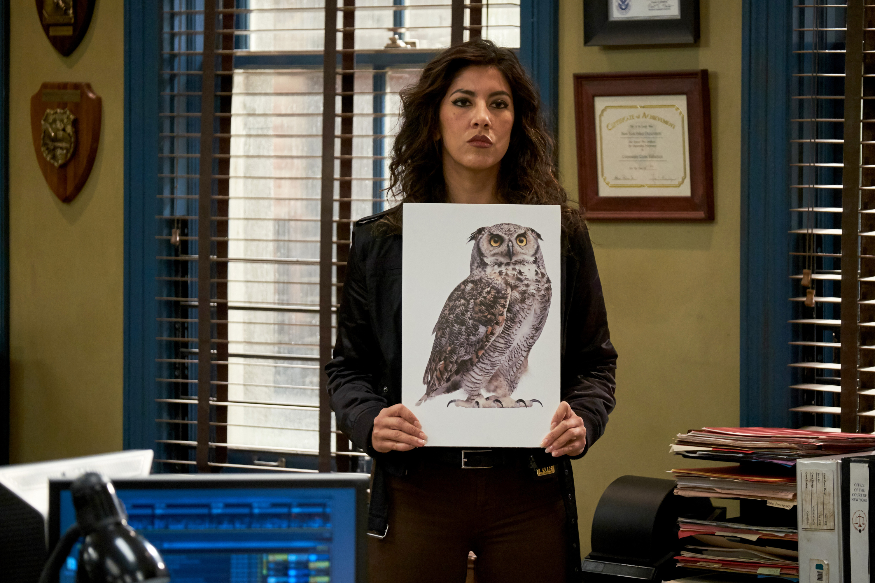 Brooklyn Nine-Nine Review: Nutriboom (Season 5 Episode 16) and DFW