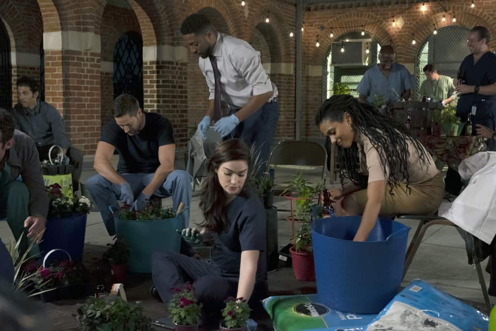 New Amsterdam Renewed for Season 2