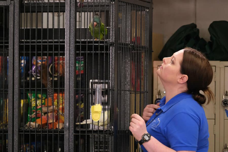 superstore-review-lovebirds-season-4-episode-13