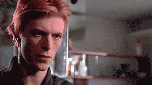 The Man Who Fell to Earth GIF