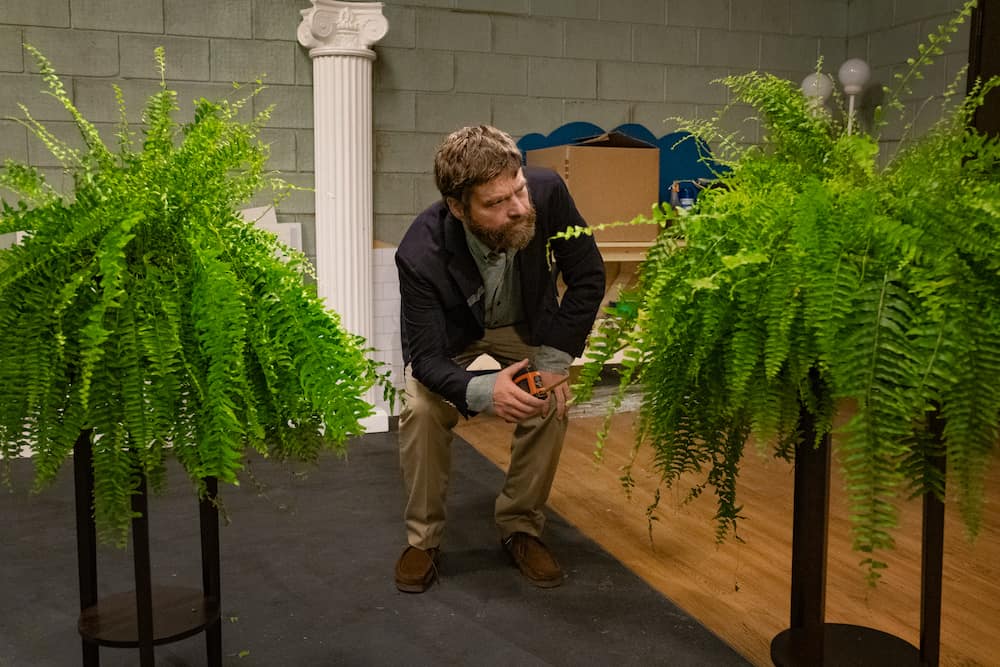 BETWEEN TWO FERNS | Tell-Tale TV BETWEEN TWO FERNS