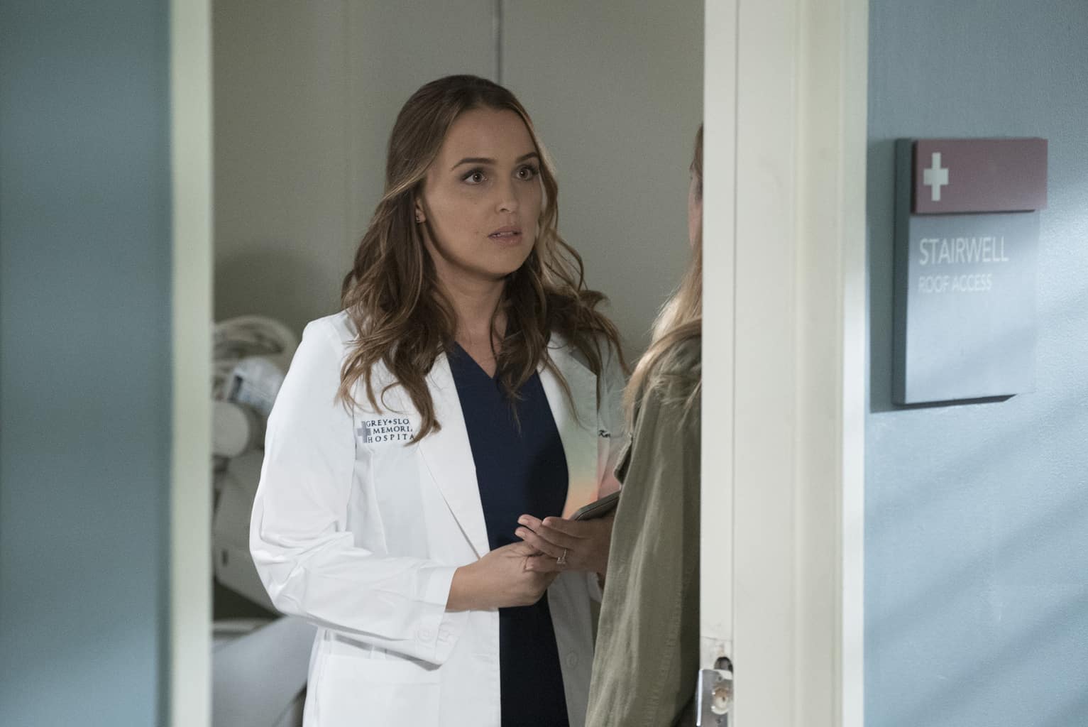 Grey's Anatomy Season 16 Episode 4, "It's Raining Men"