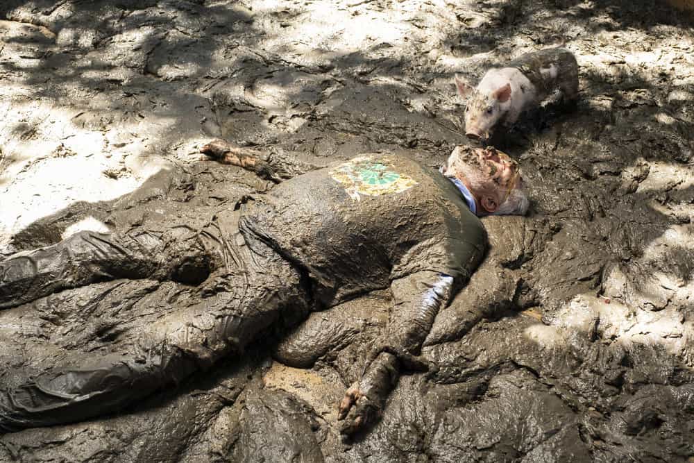 Perfect Harmony – Season 1