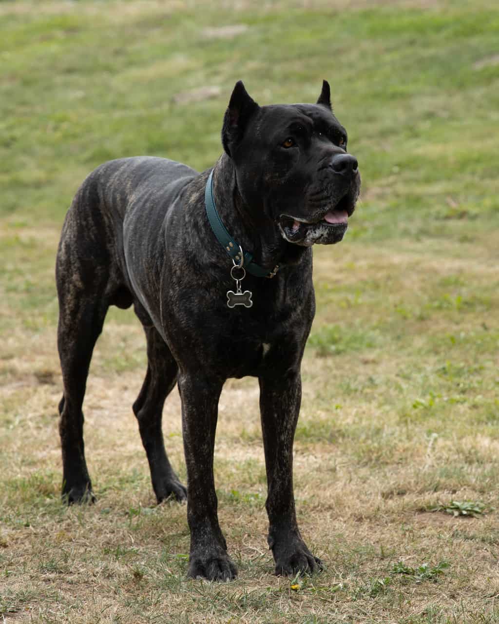 A Million Little Things Season 2 Episode 7 "Ten Years"