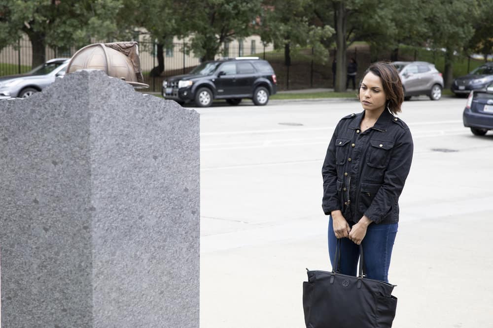 Chicago Fire- Season 8