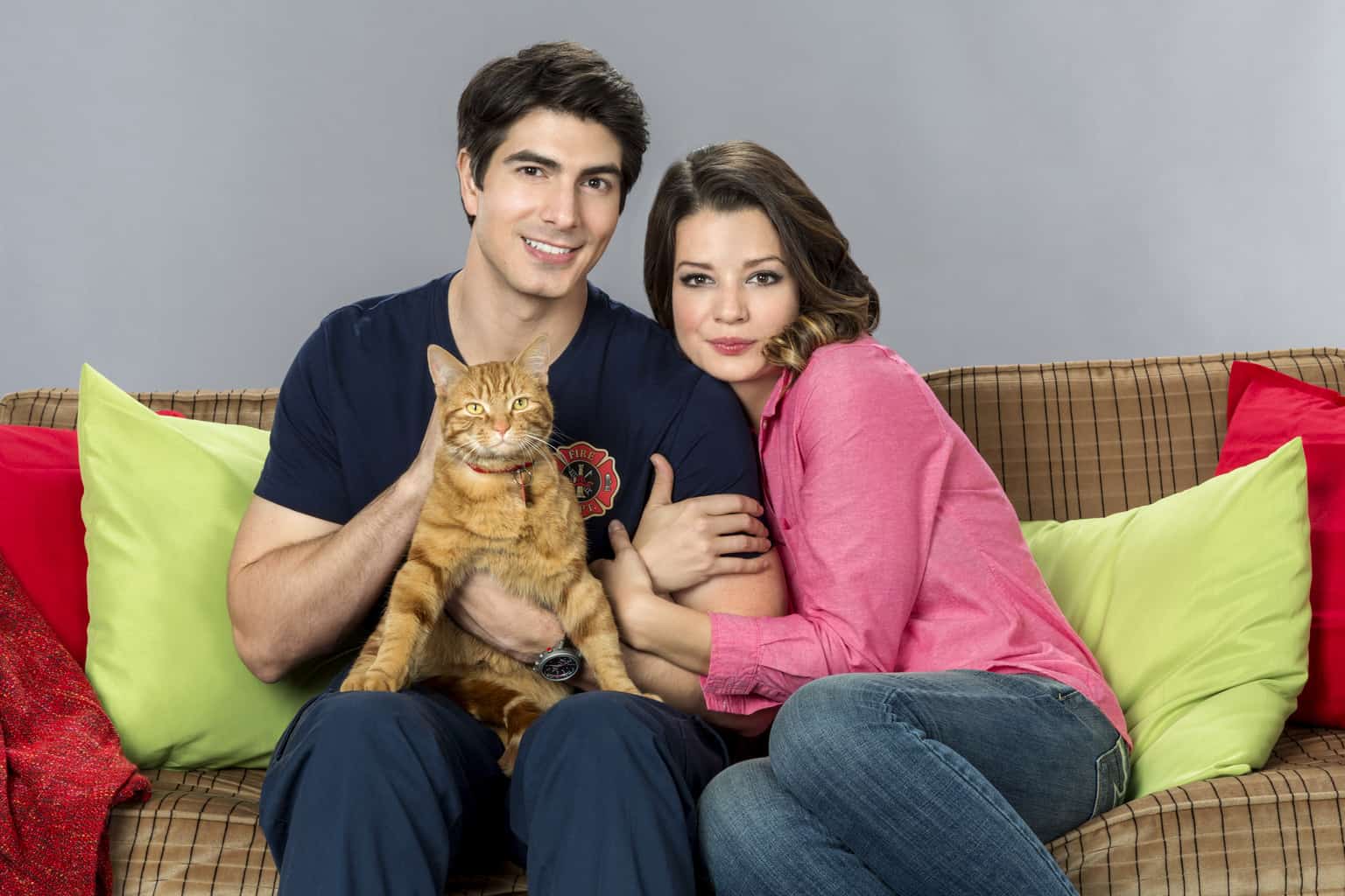 Nine Lives Of Christmas | Tell-Tale TV Nine Lives Of Christmas