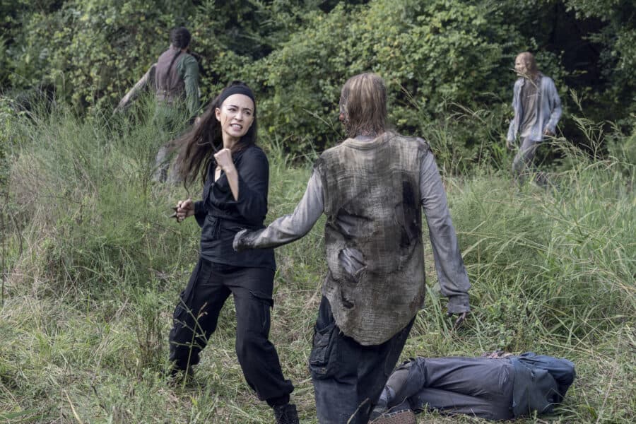 Walking Dead Staffel 8 Folge 10 Walking Dead Staffel 8 Folge 10