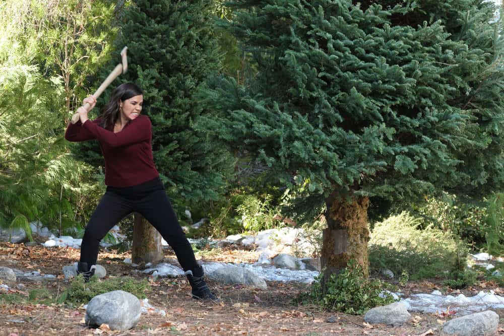 Superstore - Season 5 | Tell-Tale TV Superstore – Season 5