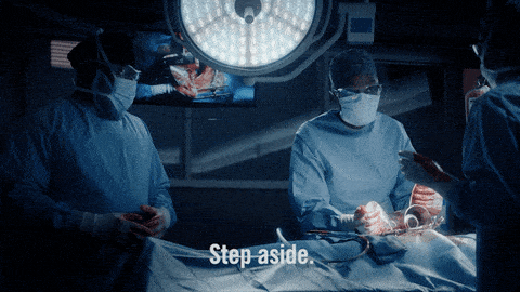 The Resident Season 3 Episode 14, "The Flea."