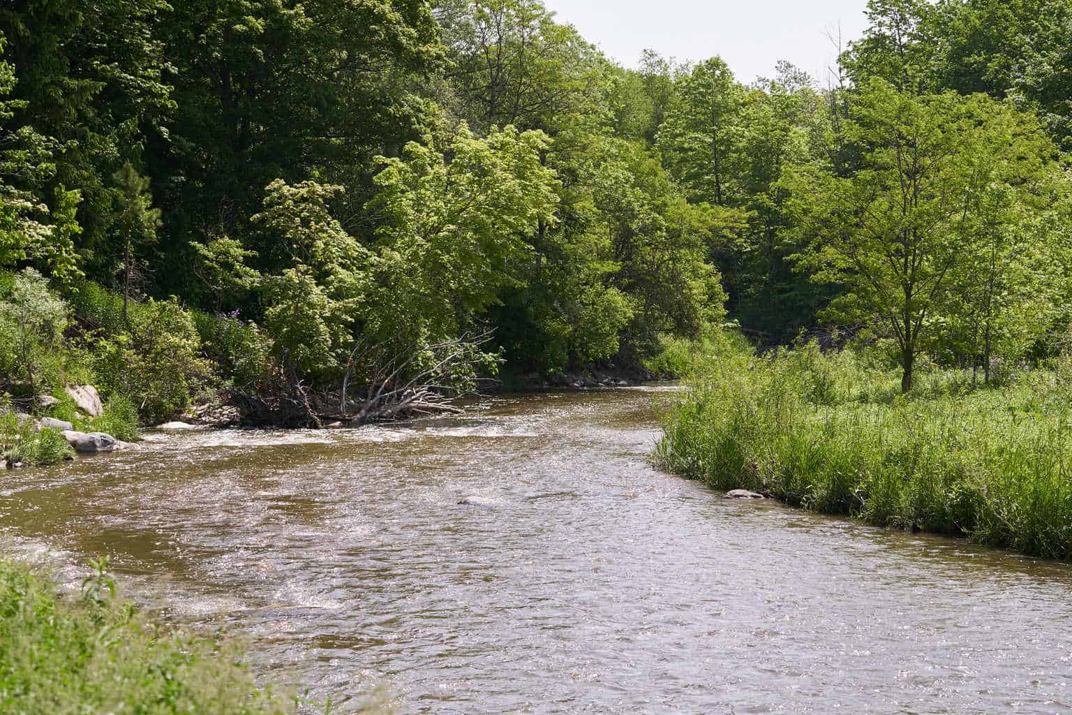 Schitt's Creek Season 6 Episode 1 - "Smoke Signals"