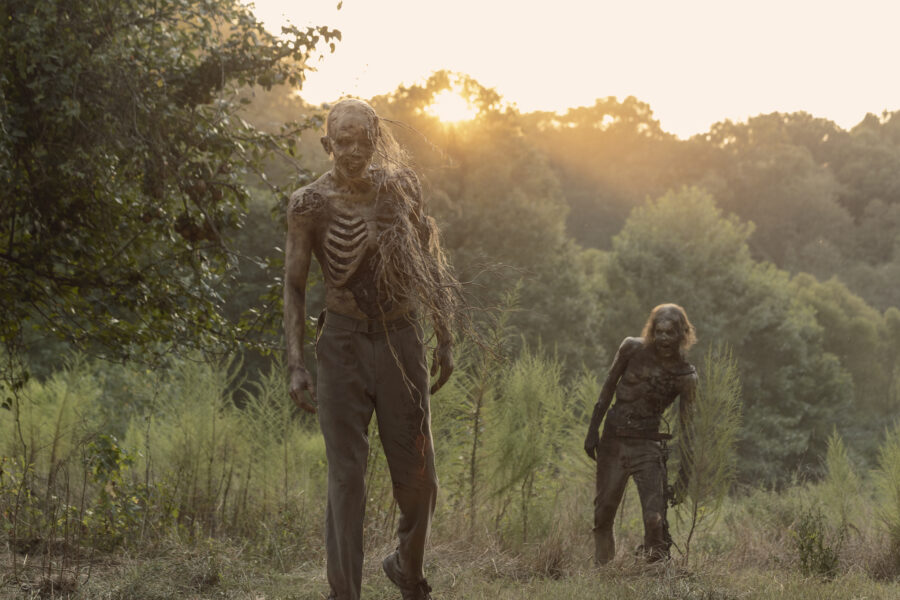 The Walking Dead Review: Stalker (Season 10 Episode 10) - The Walking Dead Season 10 Episode 9 Free Online Stream