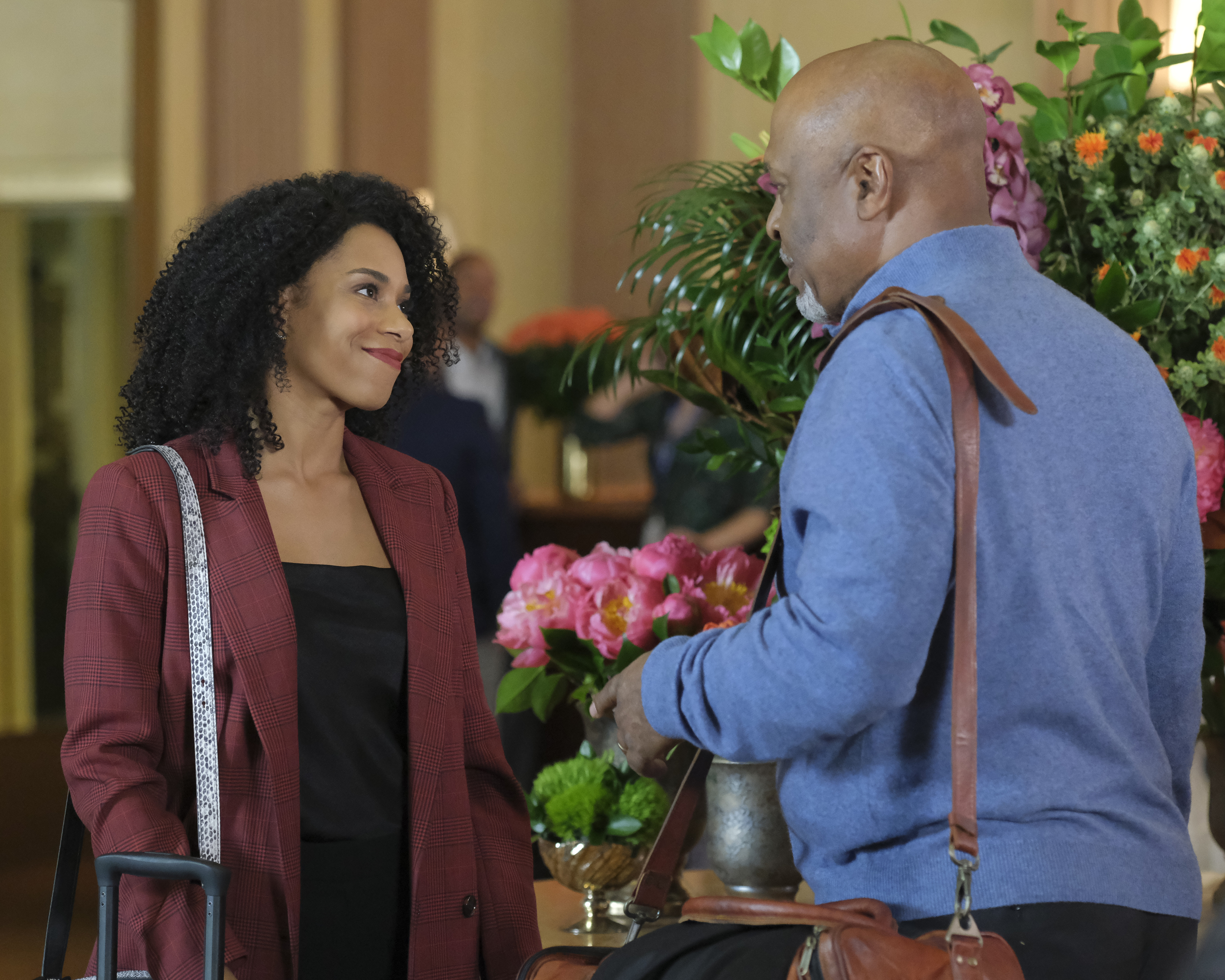 Grey's Anatomy Season 16 Episode 19, "Love of My Life"