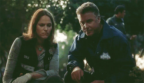 CSI- Dramas to Watch on Hulu