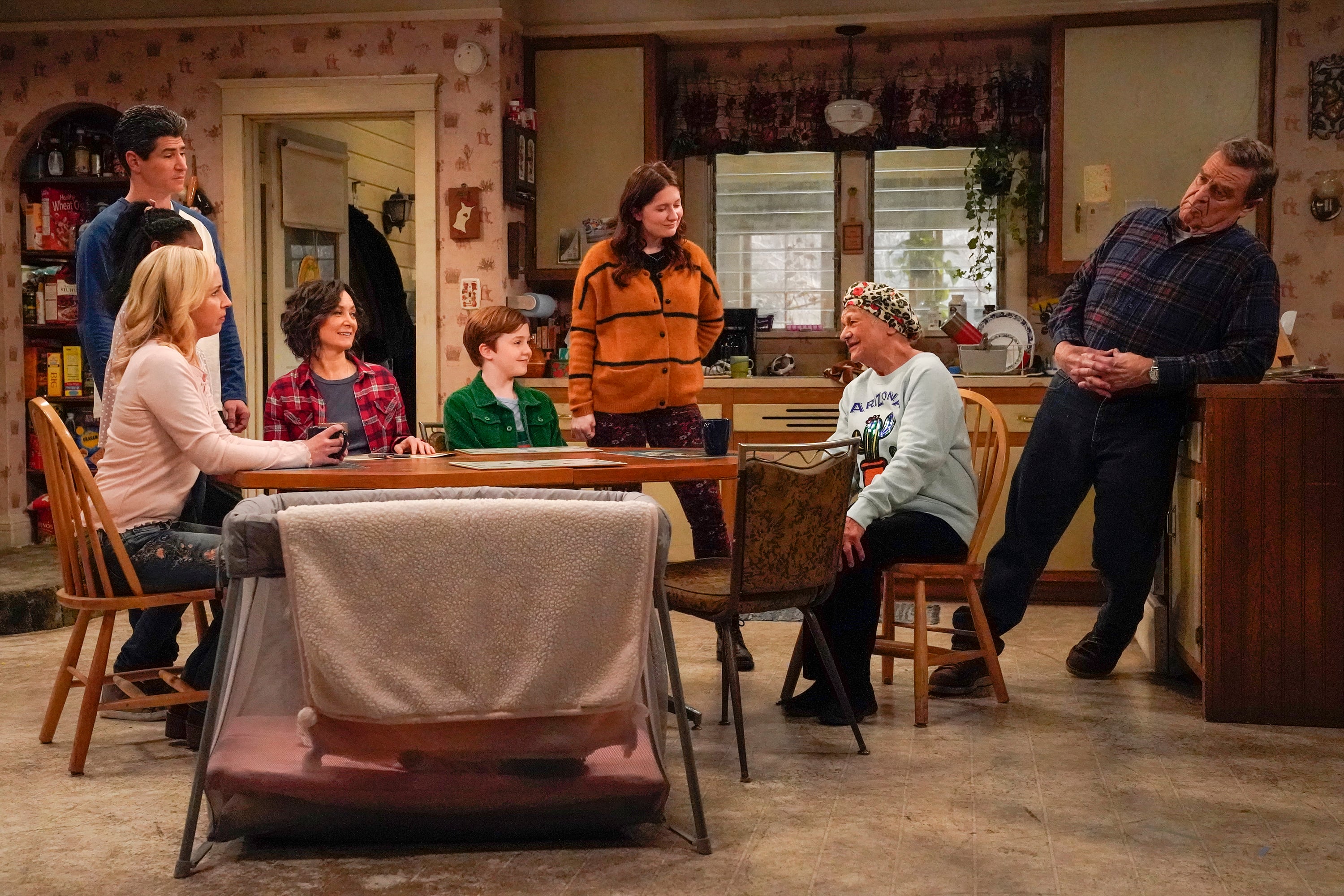MICHAEL FISHMAN, LECY GORANSON, SARA GILBERT, AMES MCNAMARA, EMMA KENNEY, ESTELLE PARSONS, JOHN GOODMAN