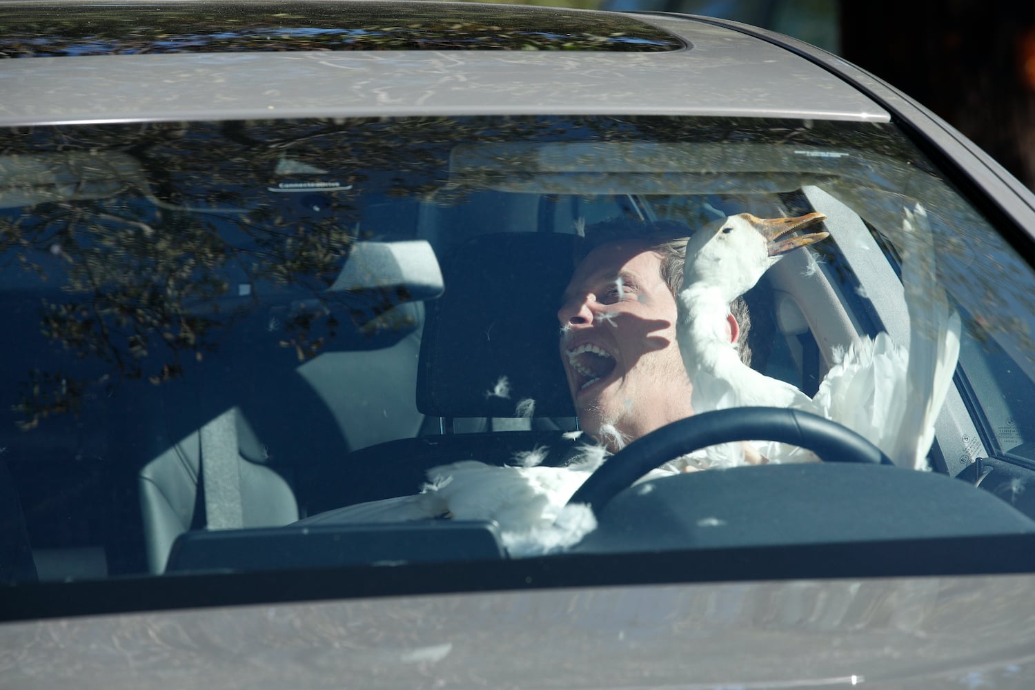 Single Parents Season 2 Episode 19