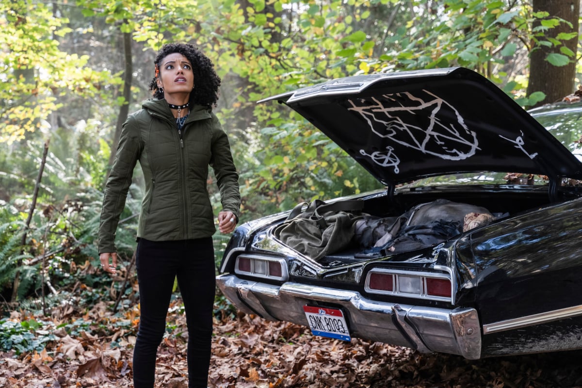 Legends Of Tomorrow Season 5 Episode 9, "Zari, Not Zari"