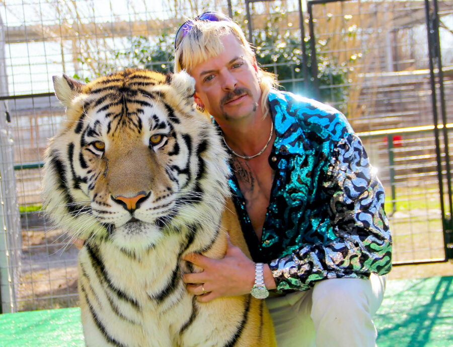 Tiger King | Tell-Tale TV Tiger King