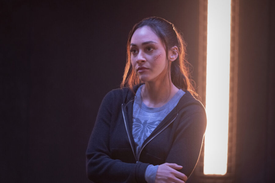 The 100 Season 7 Episode 12, "The Stranger"