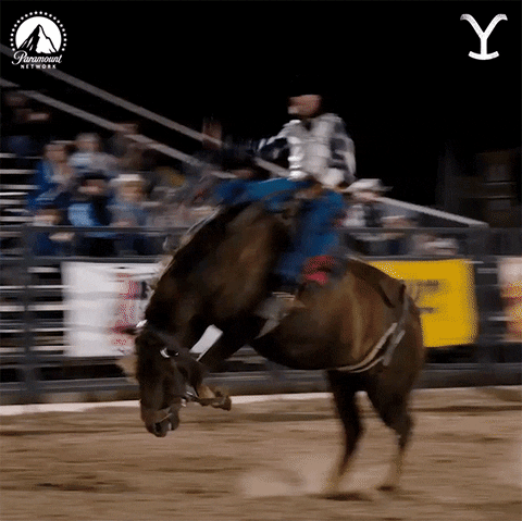 Yellowstone rodeo