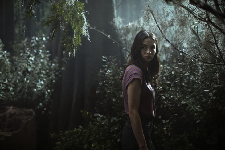 Swamp Thing Season 1 Episode 4, "Darkness on the Edge of Town"
