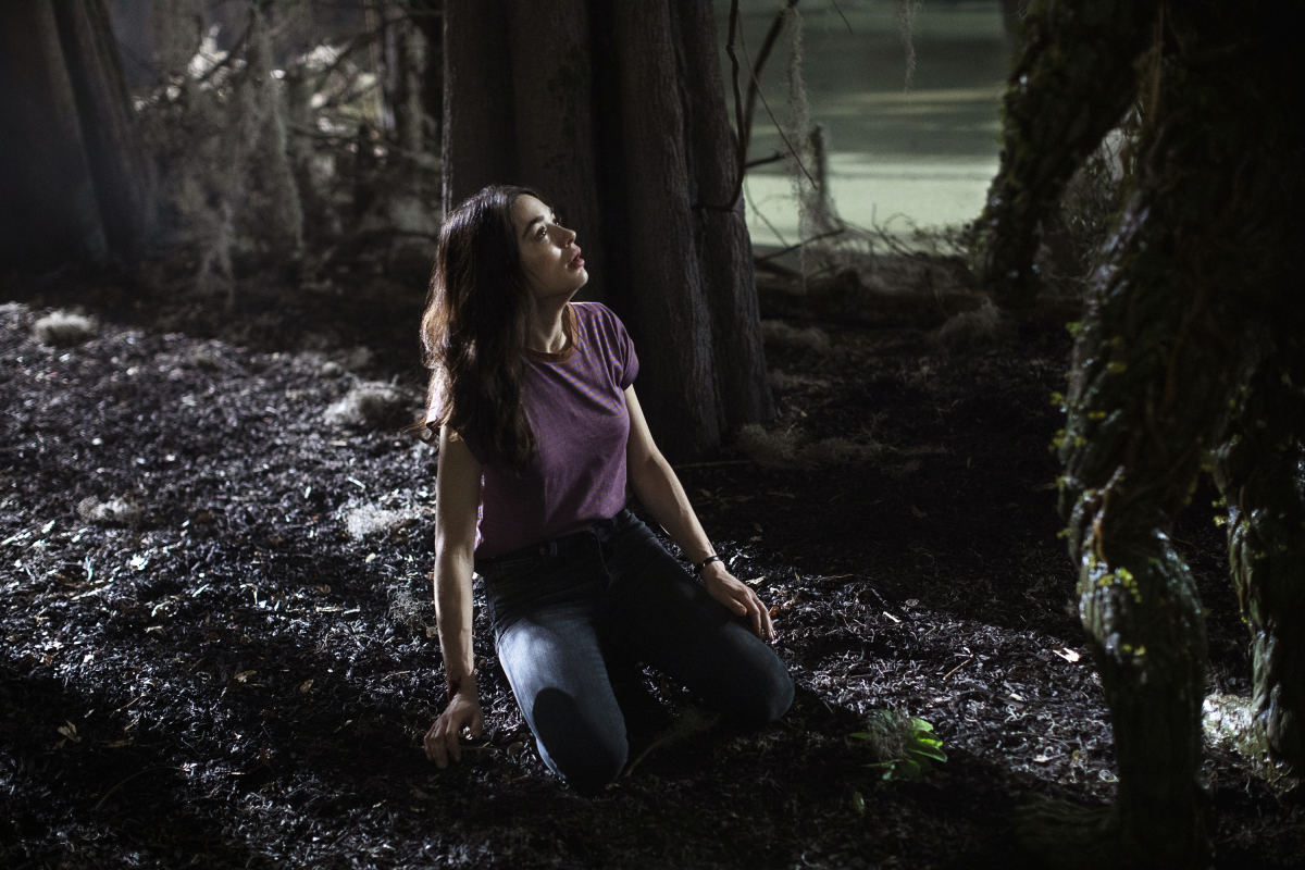 Swamp Thing Season 1 Episode 4, "Darkness on the Edge of Town"