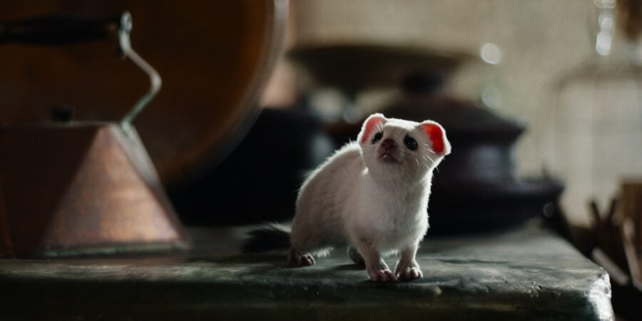 His Dark Materials Season 2 Episode 1 "The City of Magpies"