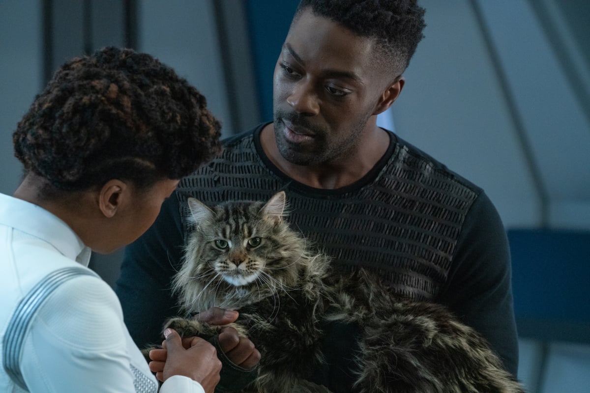 Star Trek: Discovery Season 3 Episode 11 "Su'Kal"