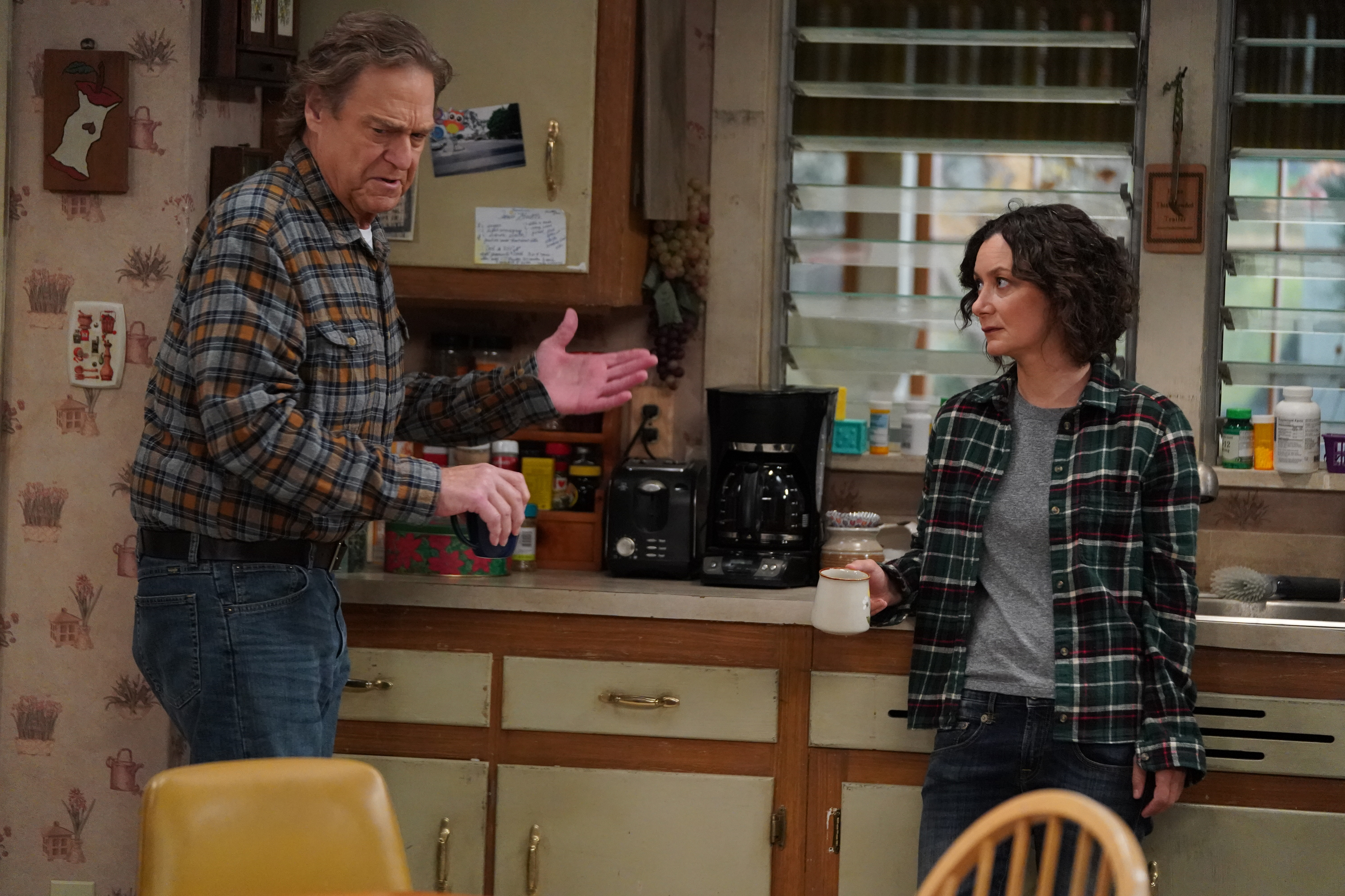 JOHN GOODMAN, SARA GILBERT
