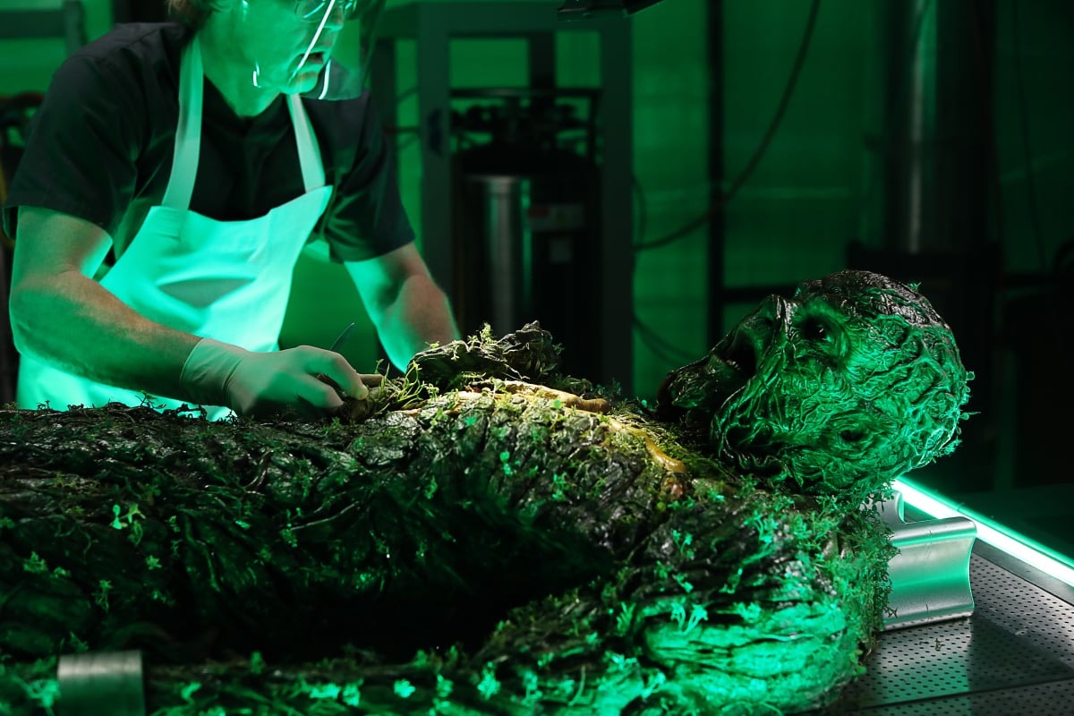 Swamp Thing Season 1 Episode 9, "The Anatomy Lesson" | Tell-Tale TV Swamp Thing Season 1 Episode 9, "The Anatomy Lesson"