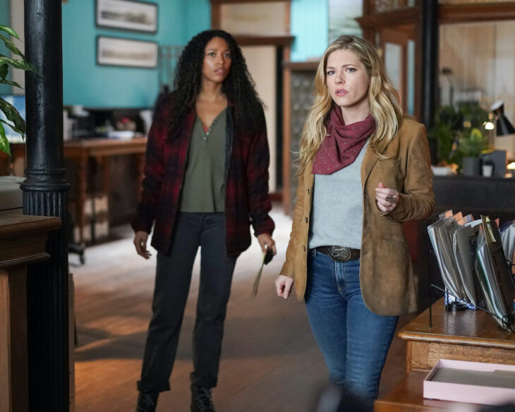 Big Sky: Episode Descriptions and How to Watch - Big Sky How Many Episodes In Season 1