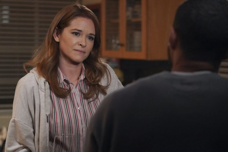 Grey's Anatomy Season 17 Episode 14, “Look Up Child”