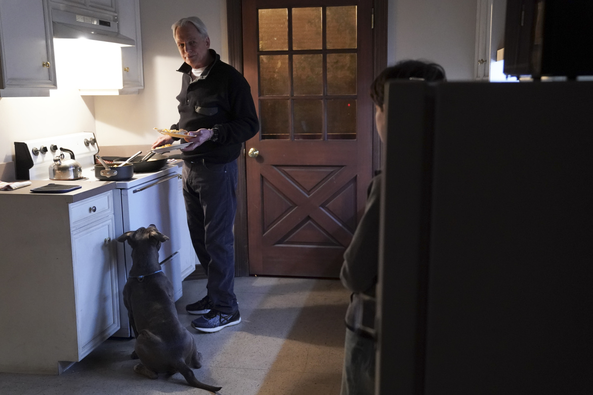 NCIS Season 18 Episode 14, “Unseen Improvements”