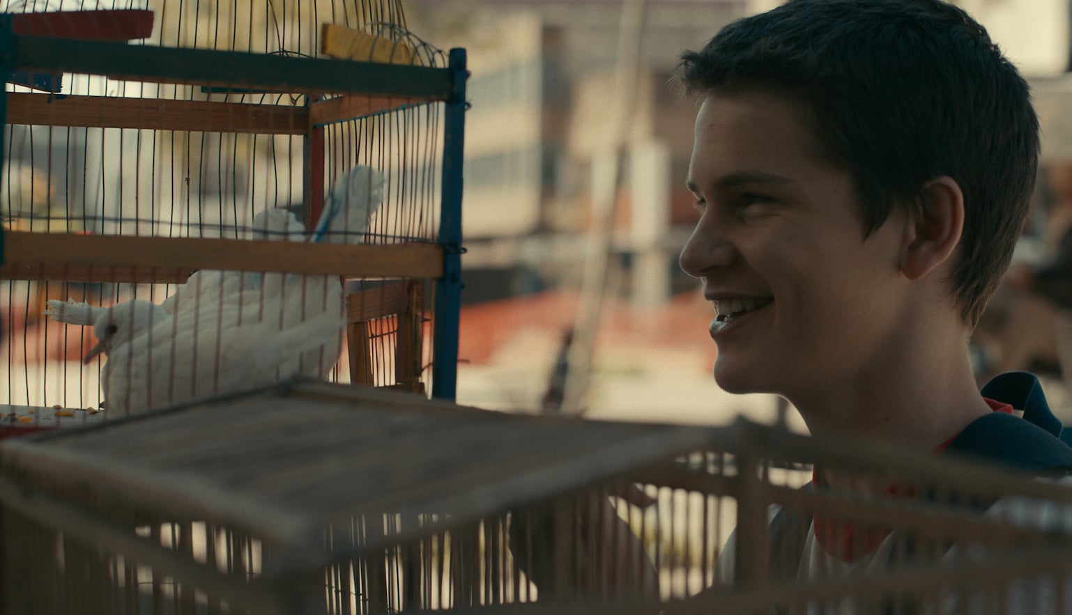 The_Mosquito_Coast_Photo_010602