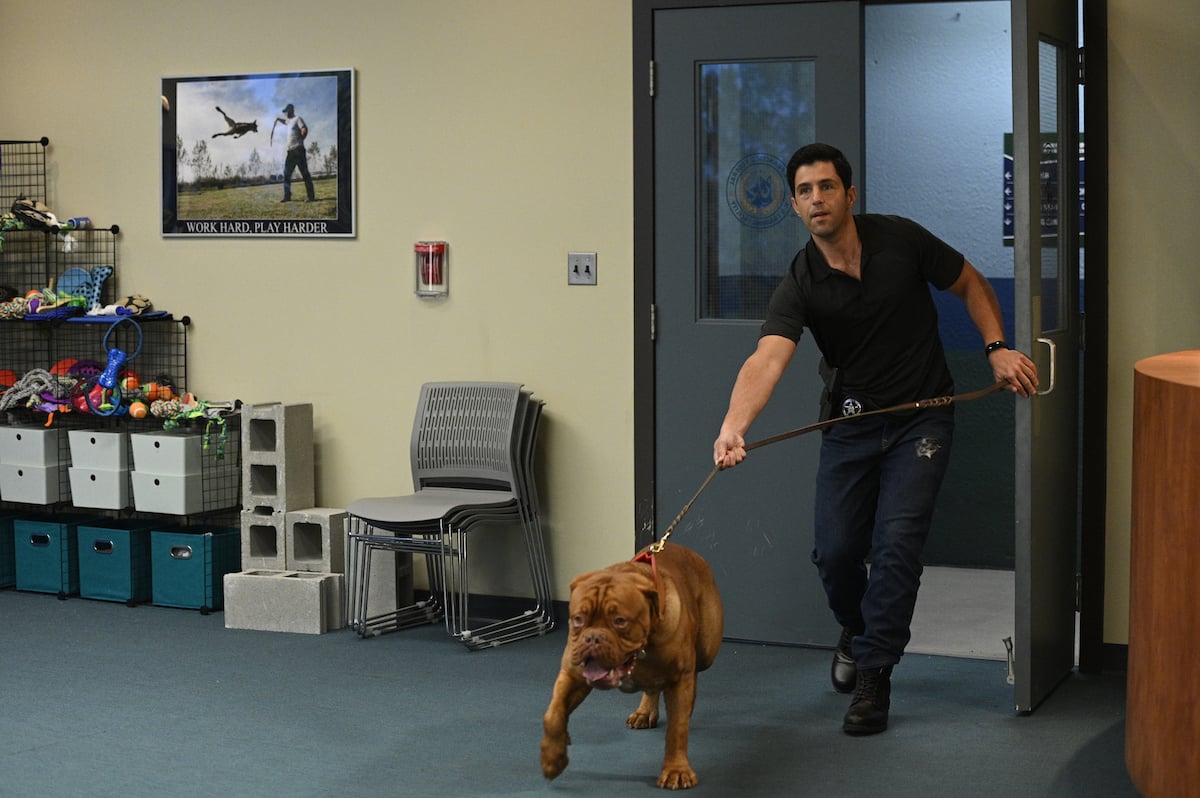 Turner & Hooch Season 1 Episode 1