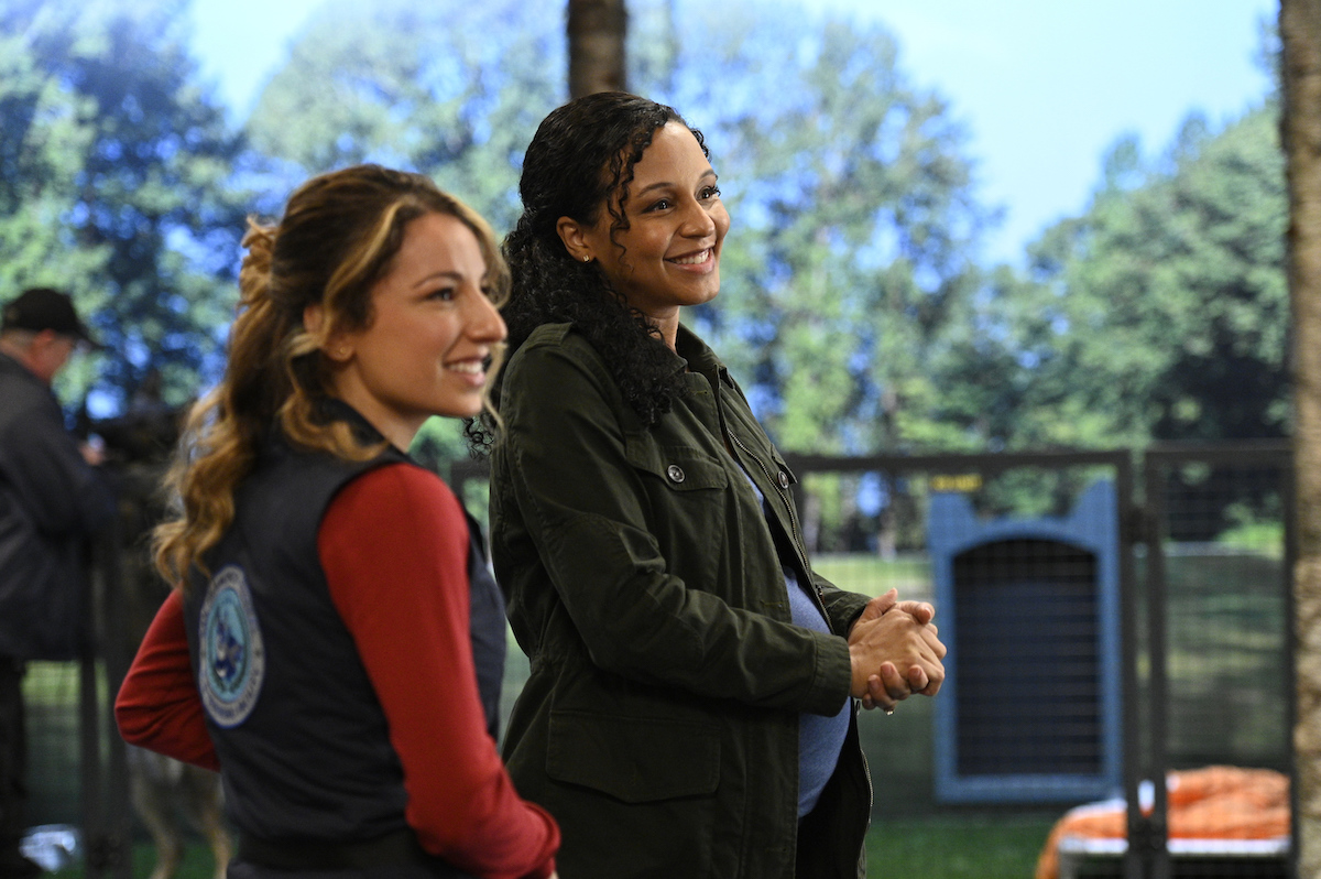 Turner & Hooch Season 1 Episode 1