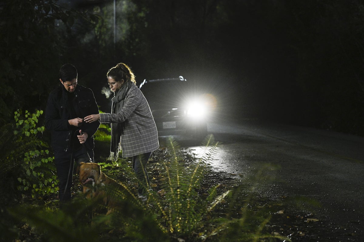 Turner & Hooch Season 1 Episode 2