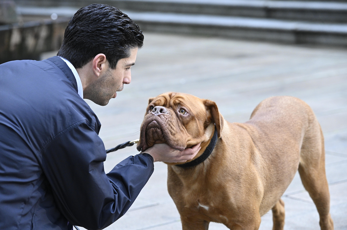 Turner & Hooch Season 1 Episode 4