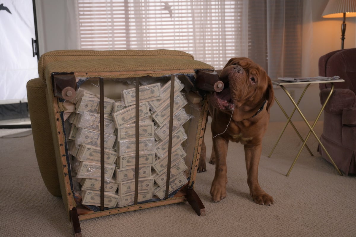 Turner & Hooch Season 1 Episode 5