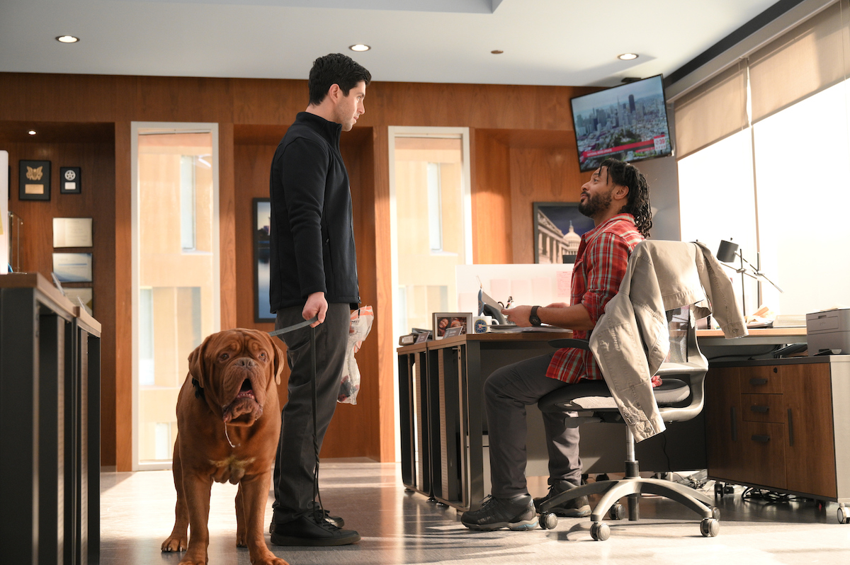 Turner & Hooch Season 1 Episode 6 | Tell-Tale TV Turner & Hooch Season 1 Episode 6