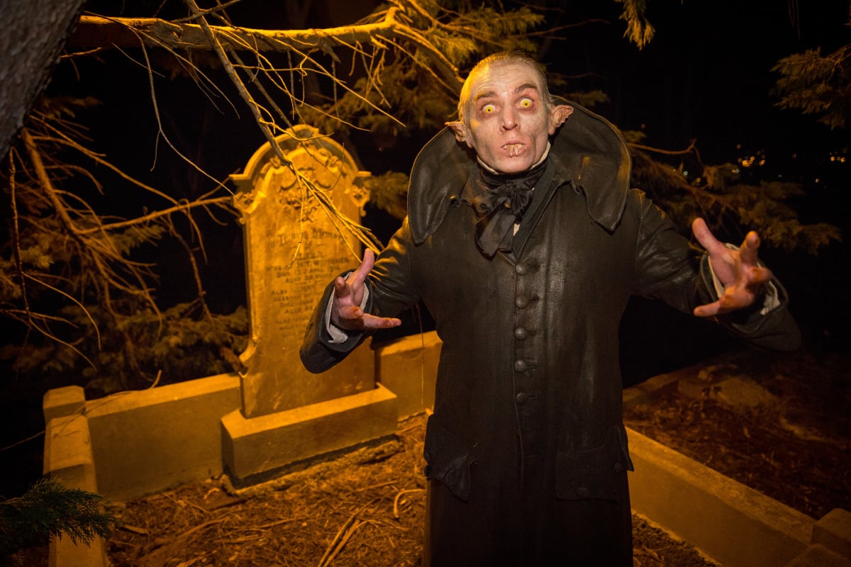 Wellington Paranormal Season 1 Epsiode 5