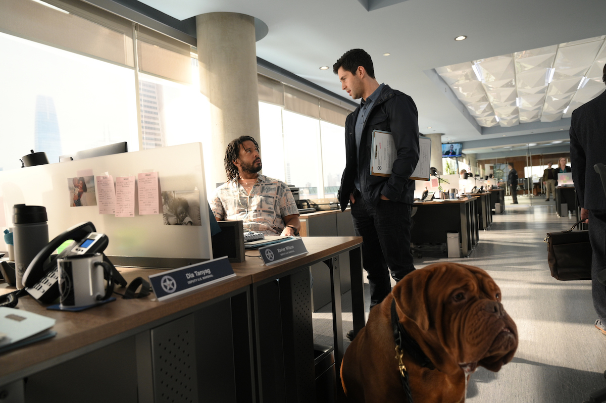 Turner & Hooch Season 1 Episode 7 | Tell-Tale TV Turner & Hooch Season 1 Episode 7