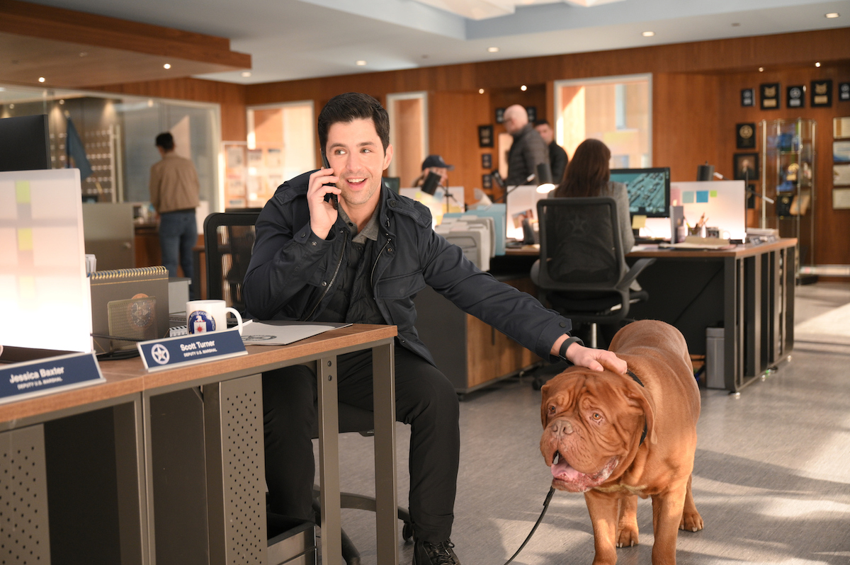 Turner & Hooch Season 1 Episode 8 | Tell-Tale TV Turner & Hooch Season 1 Episode 8