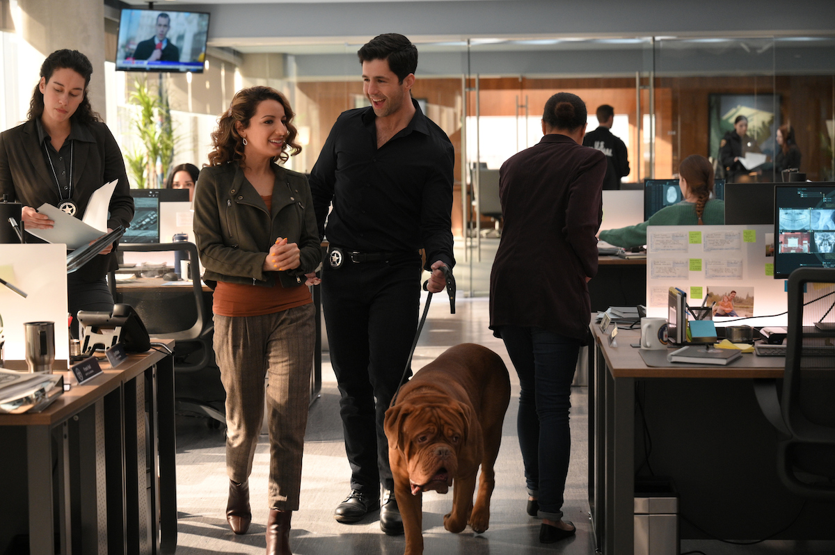 Turner & Hooch Season 1 Episode 8 | Tell-Tale TV Turner & Hooch Season 1 Episode 8
