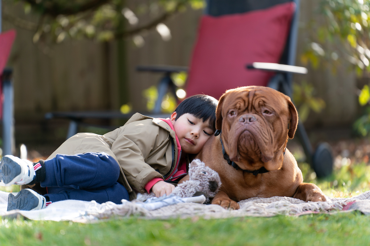 Turner & Hooch Season 1 Episode 9 | Tell-Tale TV Turner & Hooch Season 1 Episode 9