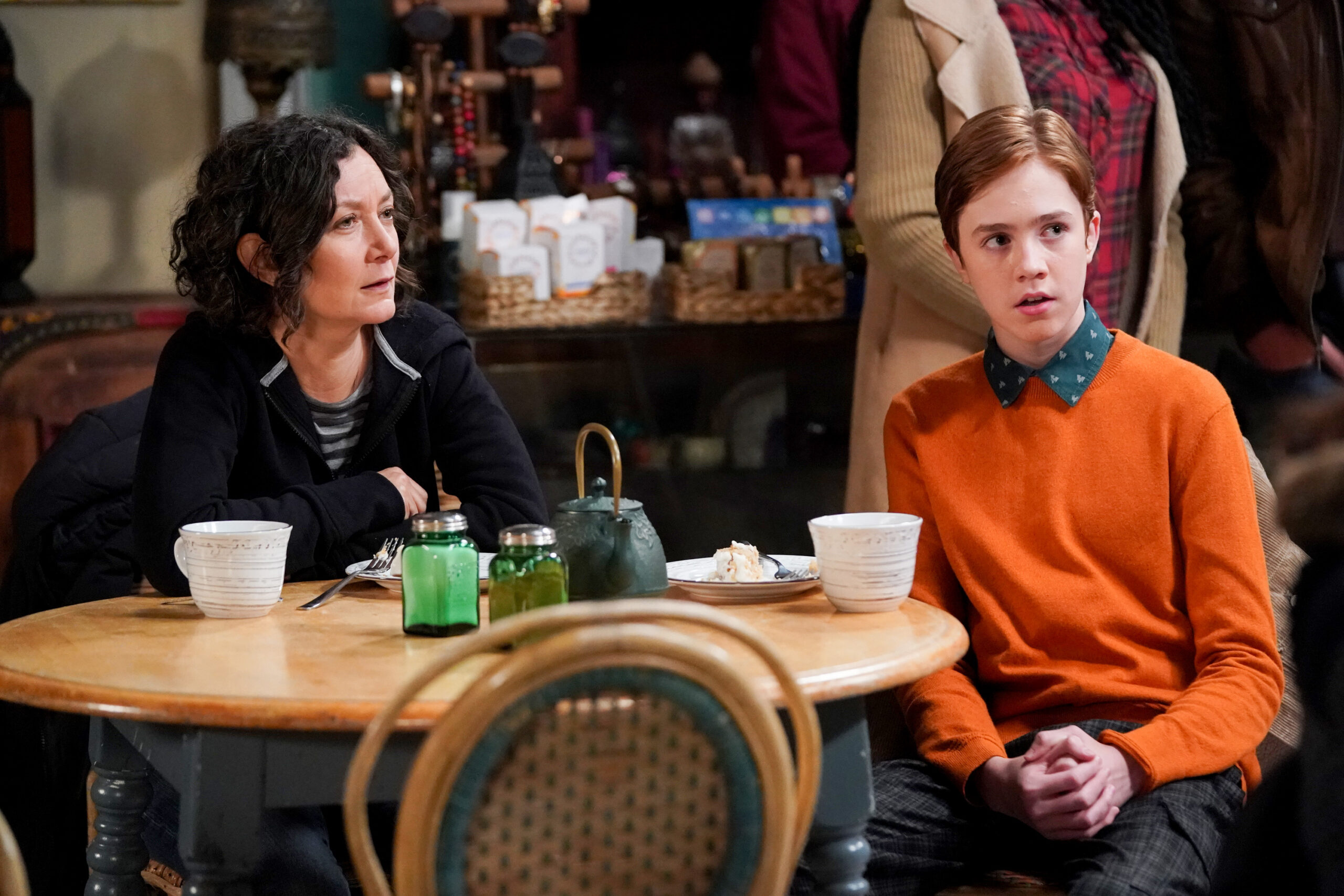SARA GILBERT, AMES MCNAMARA | Tell-Tale TV SARA GILBERT, AMES MCNAMARA