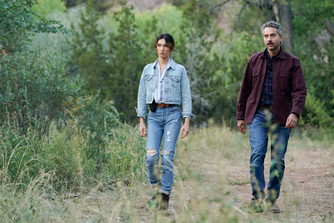 Omar Metwally Exits ‘Big Sky’ Ahead of Season 3 Premiere TellTale TV