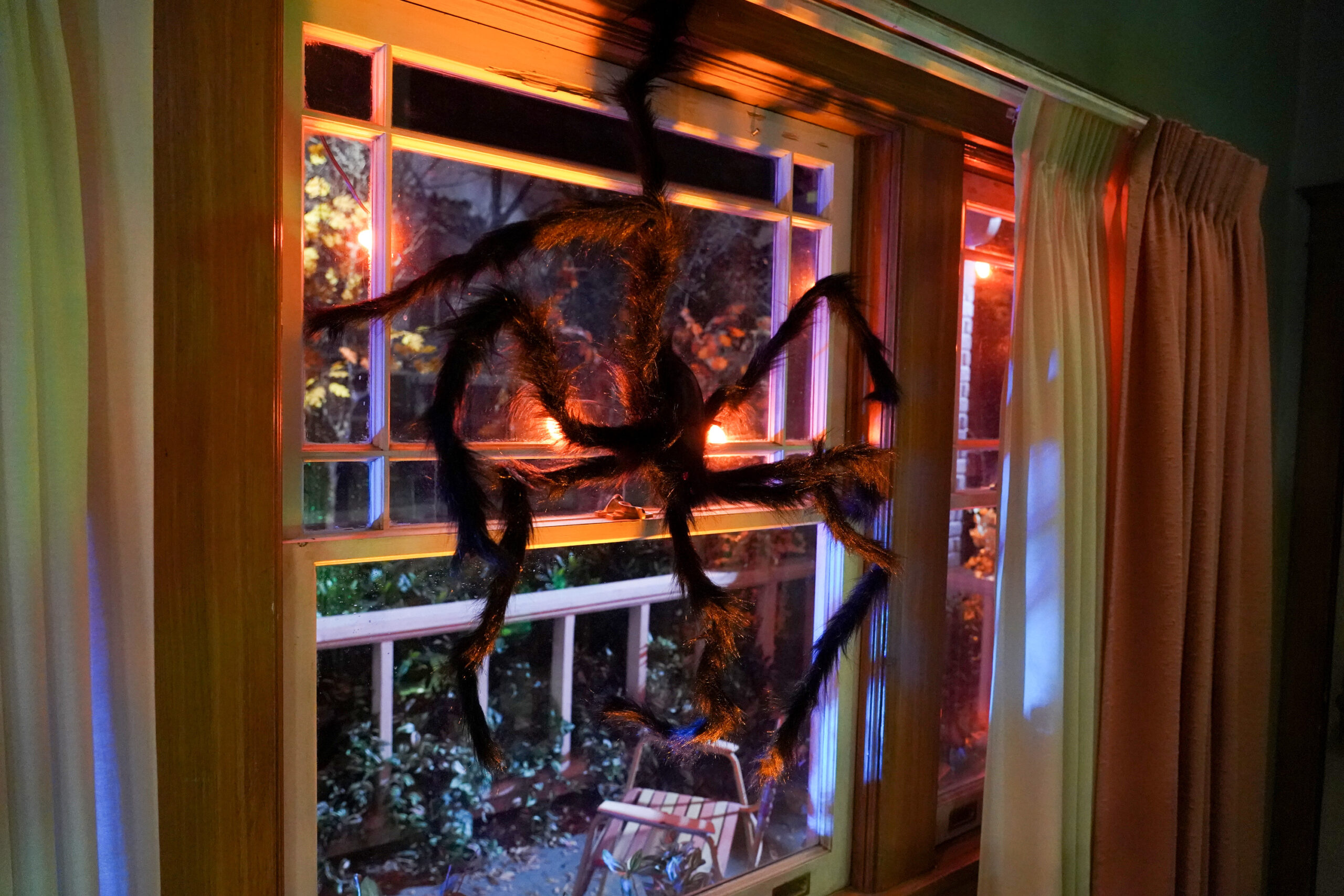 THE CONNERS | Tell-Tale TV THE CONNERS