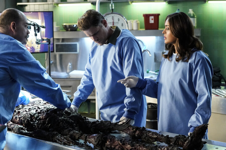 Waiting in the Wings